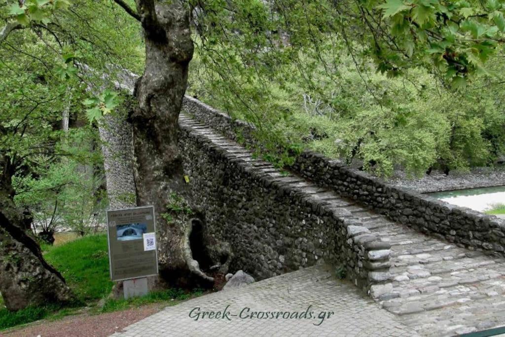 Παραδοσιακή Πέτρινη Κατοικία Στην Βλάχα Ελάτης Exterior foto