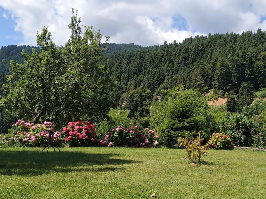 Παραδοσιακή Πέτρινη Κατοικία Στην Βλάχα Ελάτης Exterior foto