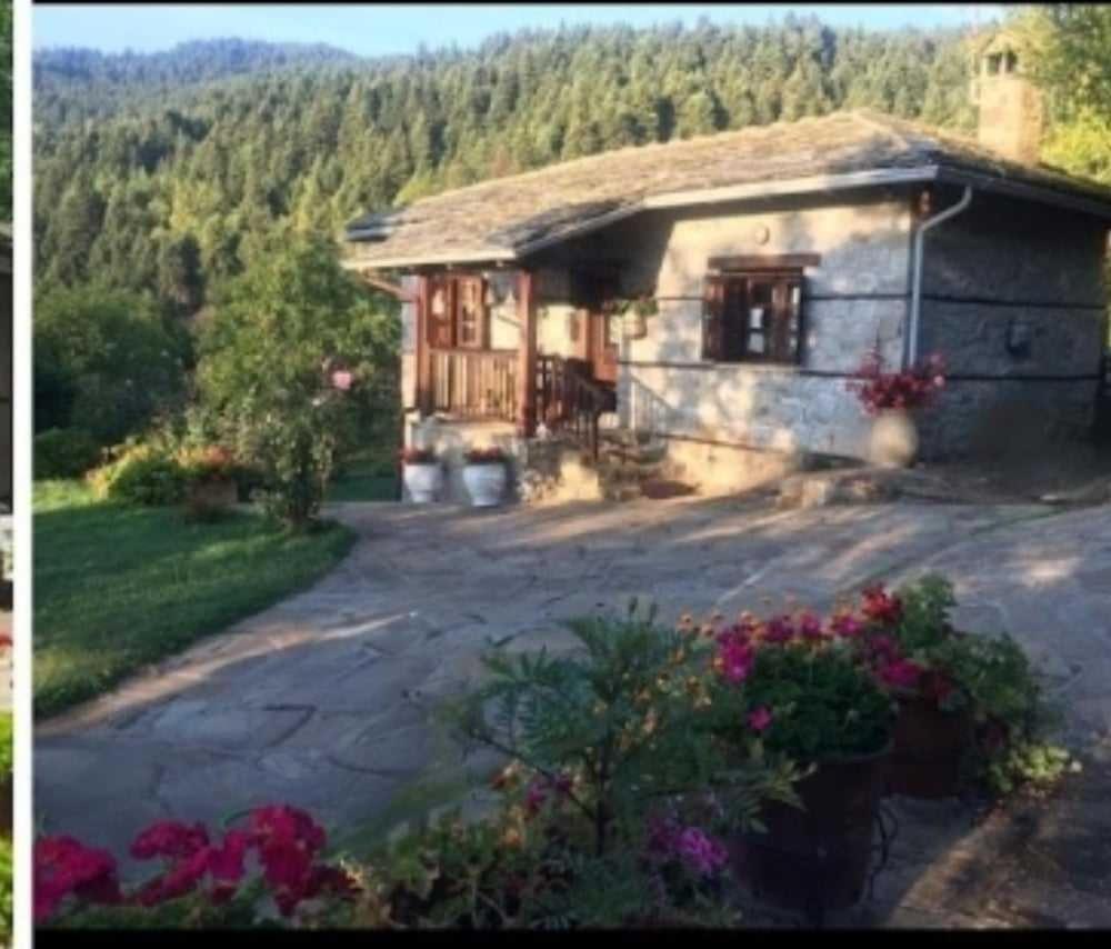 Παραδοσιακή Πέτρινη Κατοικία Στην Βλάχα Ελάτης Exterior foto